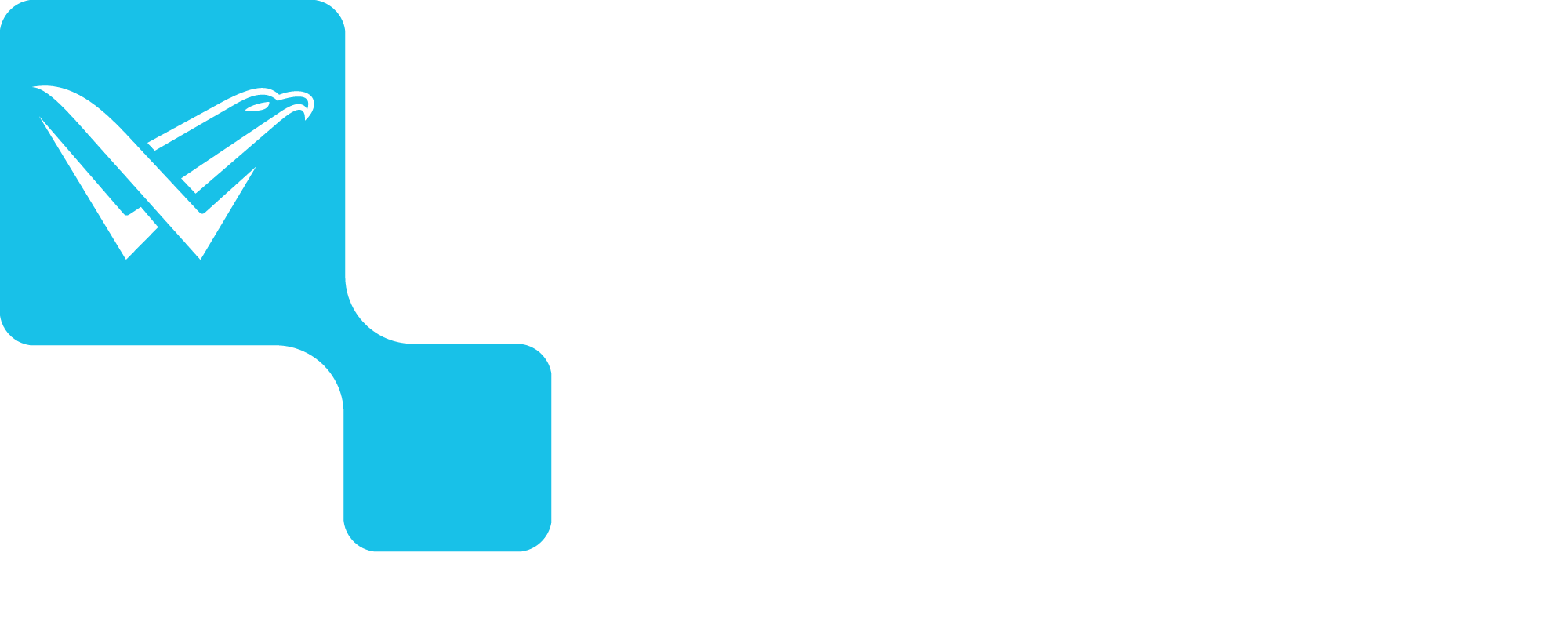 Grupo Villela